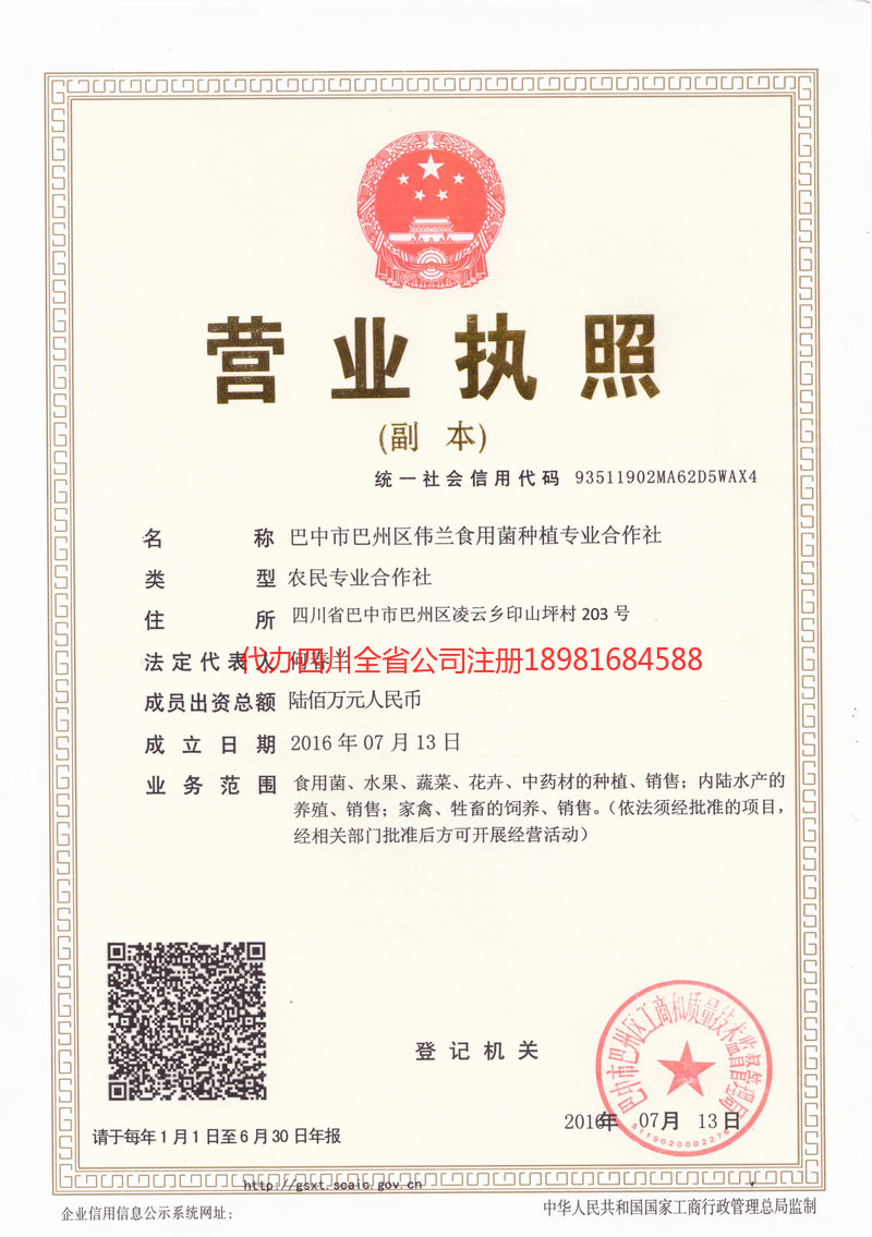 明光明光伟兰食用菌种植专业合作社